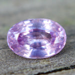 Natural Pink Sapphire - Sapphirepal