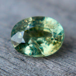 Natural Parti Sapphire Sapphire Pal Australia