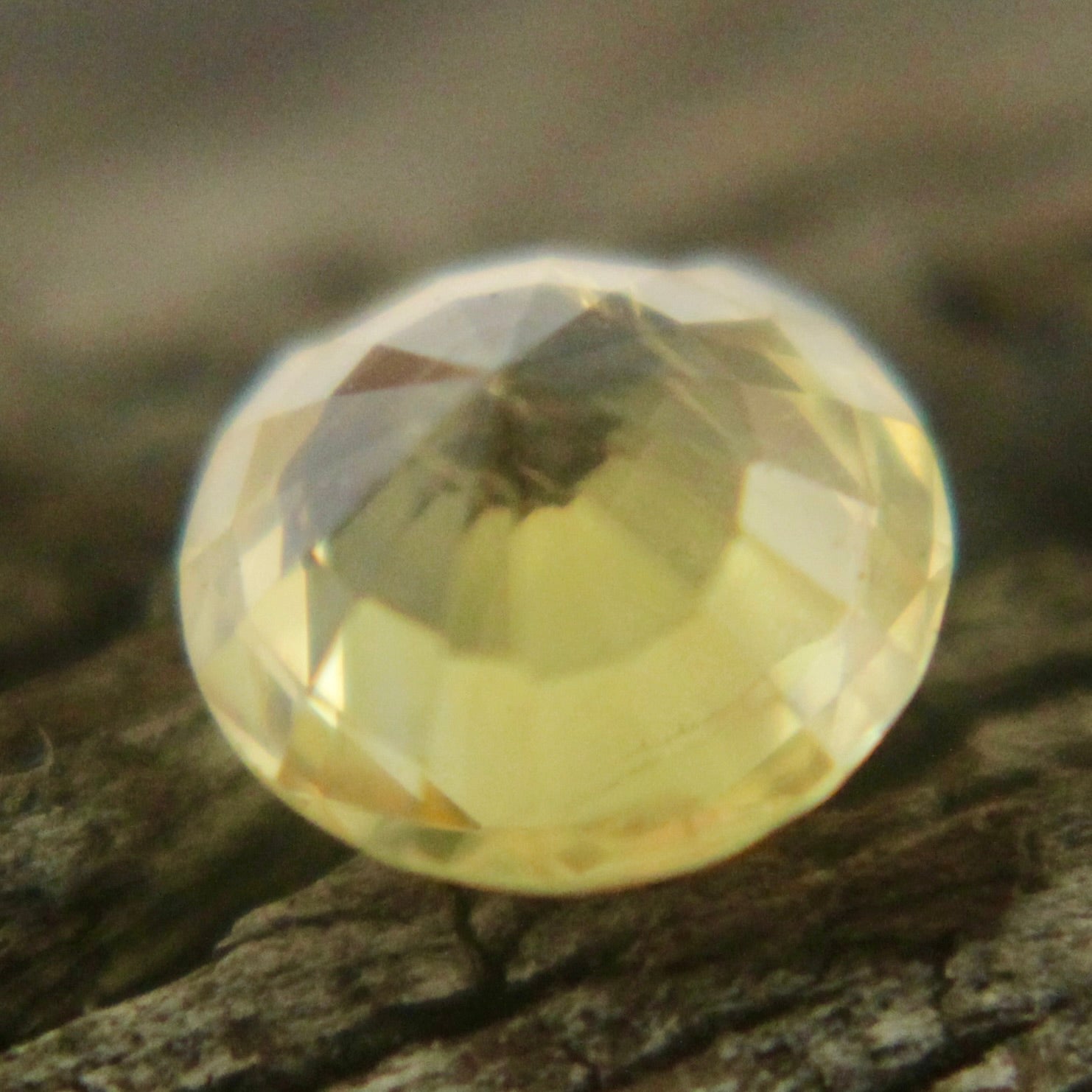 Natural Yellow Sapphire Sapphire Pal Australia