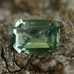 Natural Green Sapphire Sapphire Pal Australia