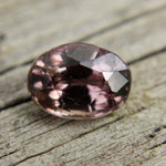 Natural Brown Sapphire Sapphire Pal Australia