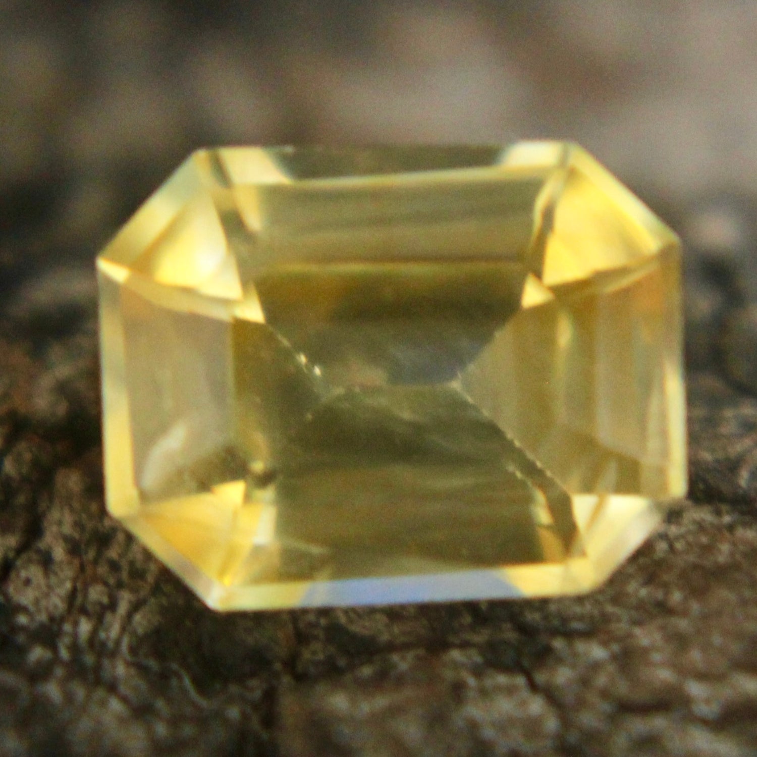 Natural Yellow Sapphire Sapphire Pal Australia