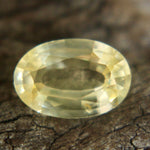 Natural Yellow Sapphire Sapphire Pal Australia