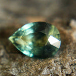 Natural Tri Coloured Sapphire - Parti Sapphire Sapphire Pal Australia