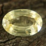 Natural Yellow Sapphire Sapphire Pal Australia