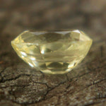 Natural Yellow Sapphire Sapphire Pal Australia