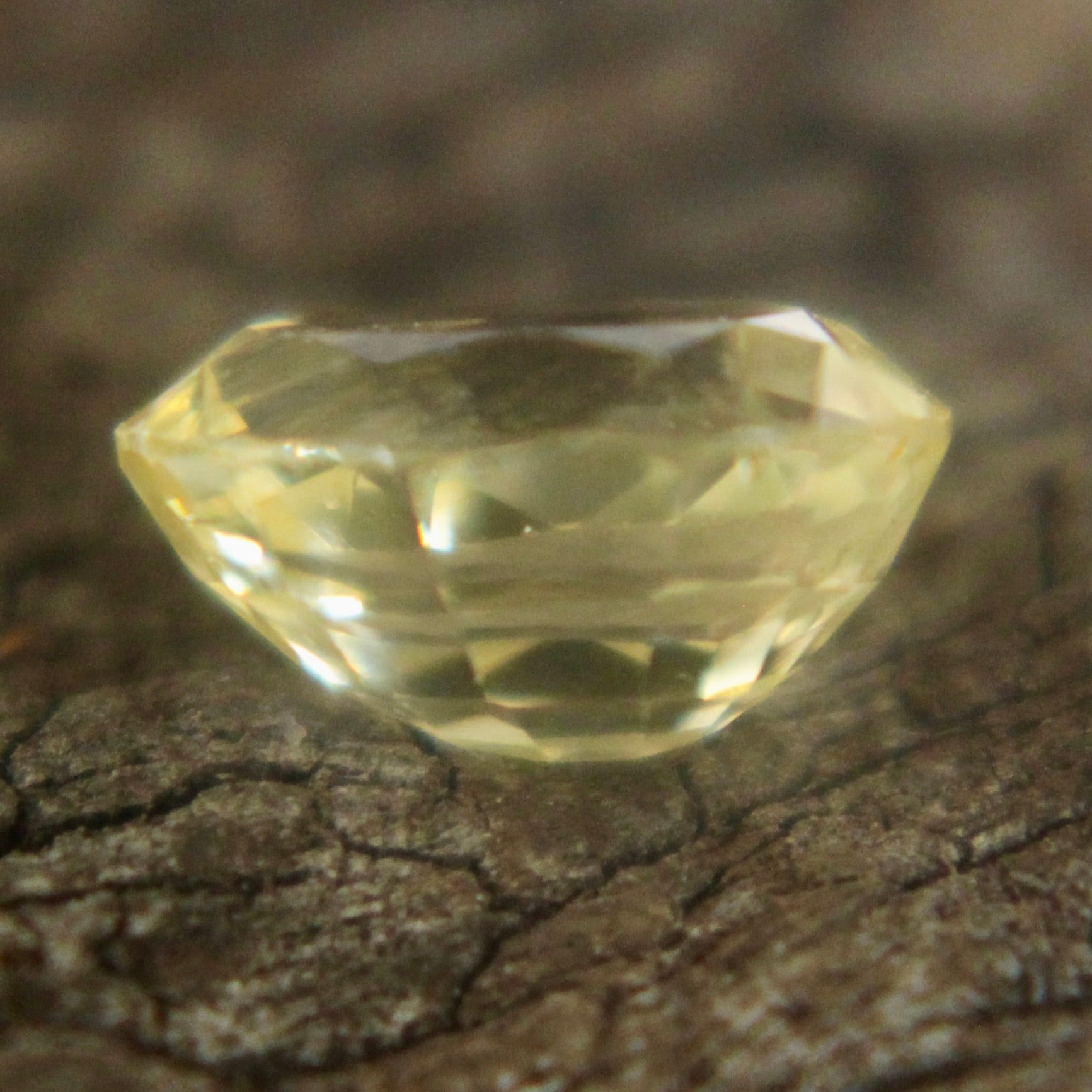 Natural Yellow Sapphire Sapphire Pal Australia