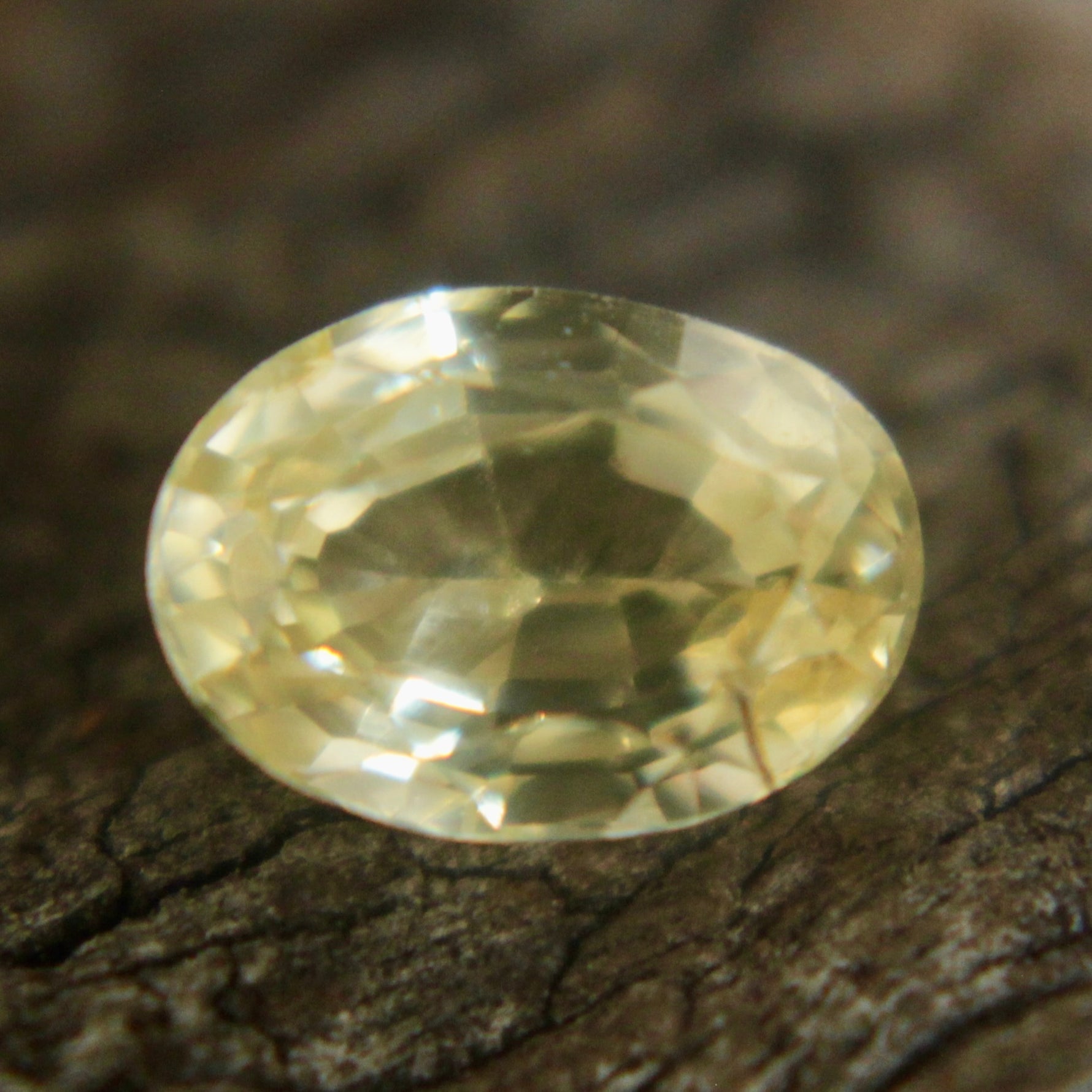 Natural Yellow Sapphire Sapphire Pal Australia