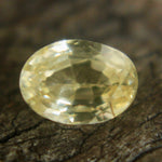 Natural Yellow Sapphire Sapphire Pal Australia