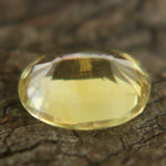 Natural Yellow Sapphire Sapphire Pal Australia