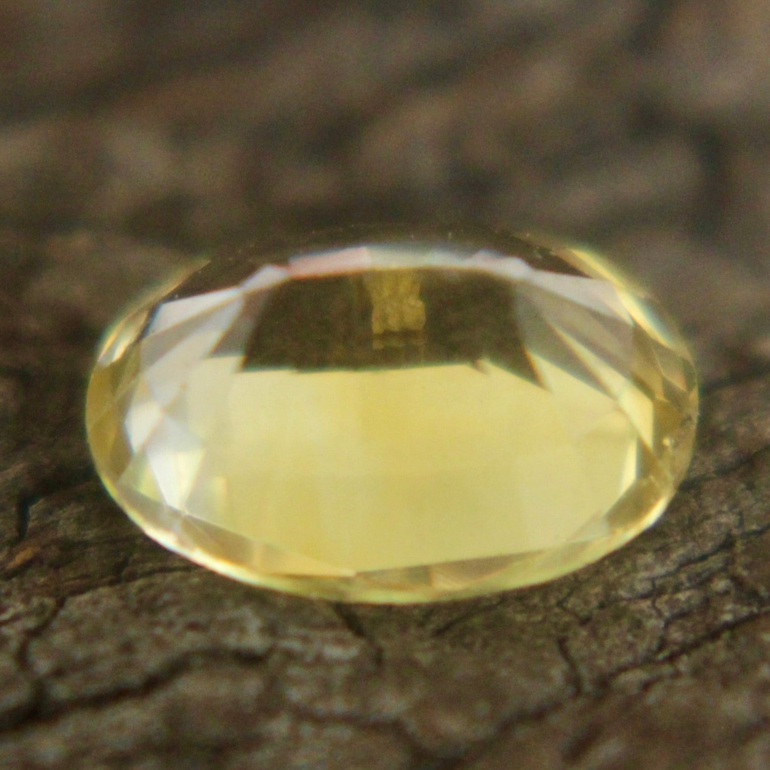 Natural Yellow Sapphire Sapphire Pal Australia