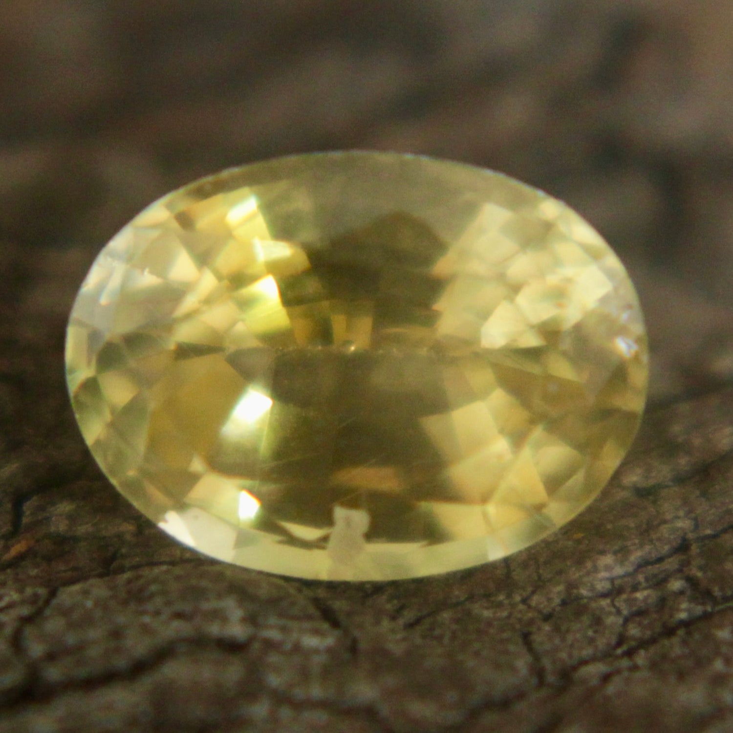 Natural Yellow Sapphire Sapphire Pal Australia