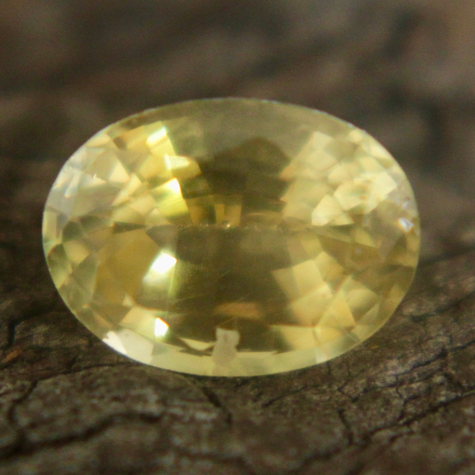 Natural Yellow Sapphire Sapphire Pal Australia