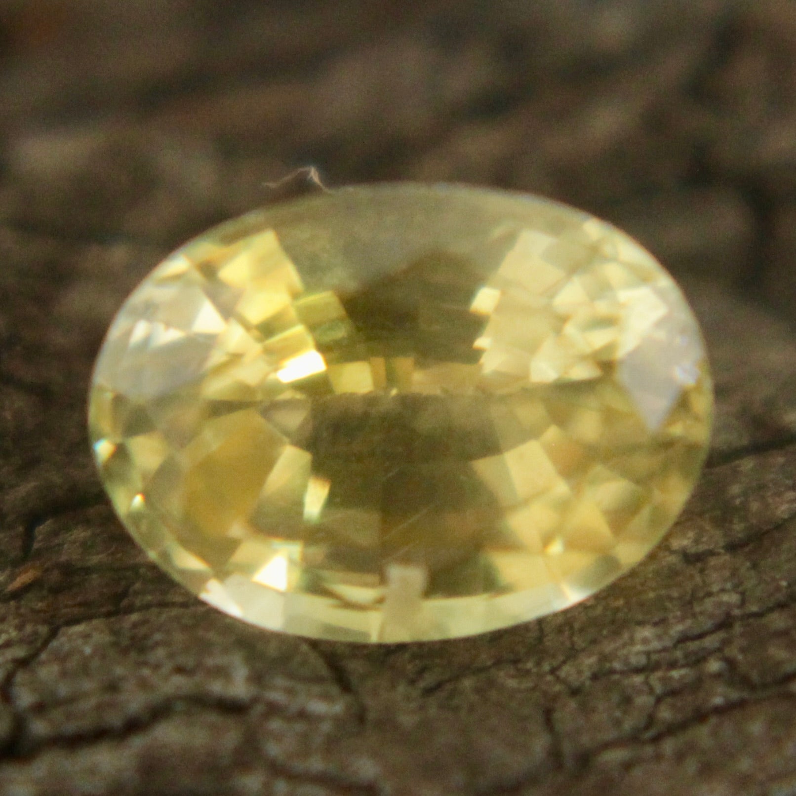 Natural Yellow Sapphire Sapphire Pal Australia