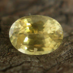 Natural Yellow Sapphire Sapphire Pal Australia