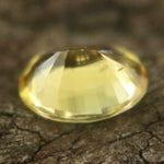 Natural Yellow Sapphire Sapphire Pal Australia