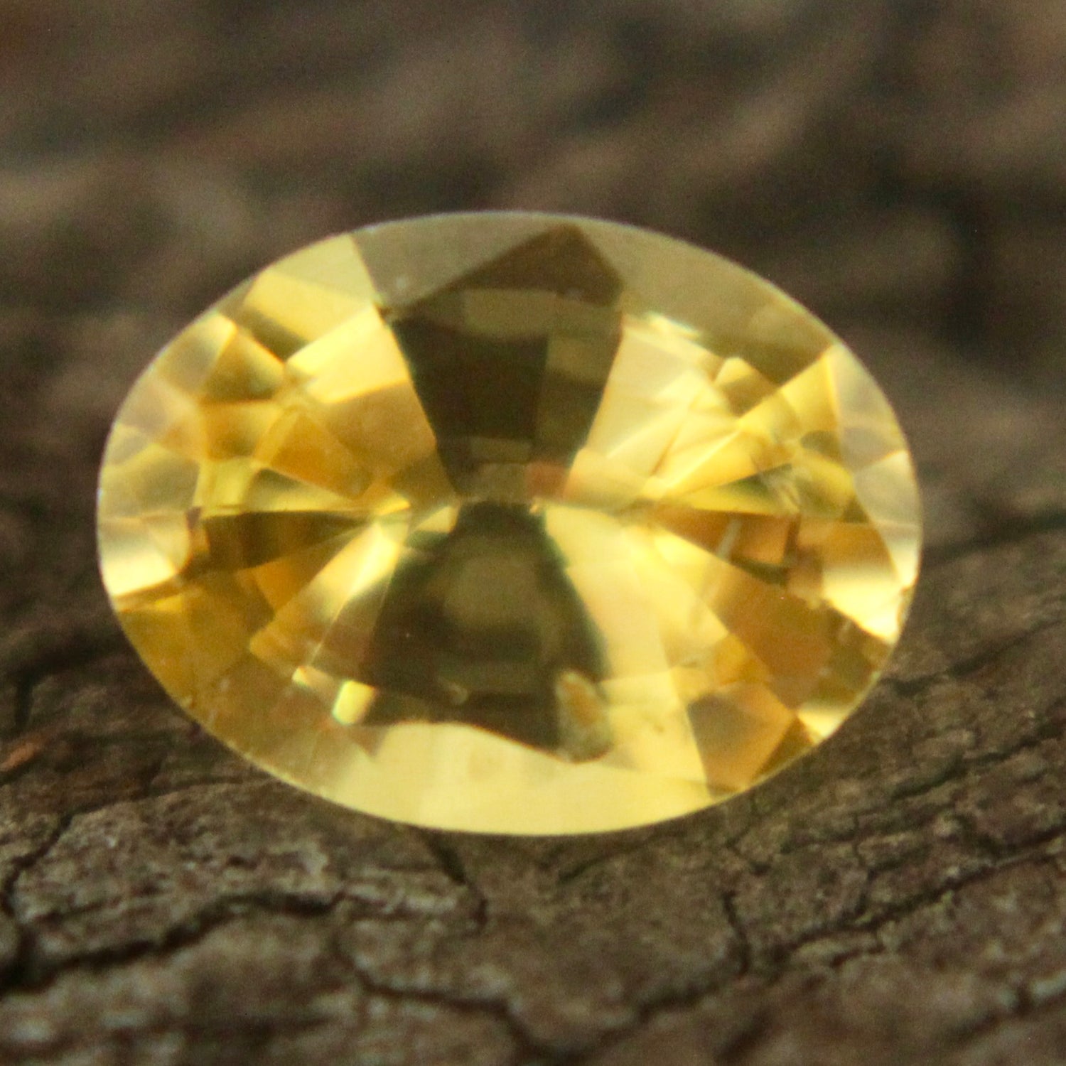 Natural Yellow Sapphire Sapphire Pal Australia