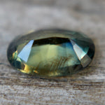 Natural Parti Sapphire Sapphire Pal Australia