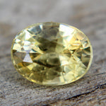 Natural Yellow Sapphire - Sapphirepal