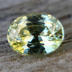 Natural Yellowish Green Sapphire Sapphire Pal Australia