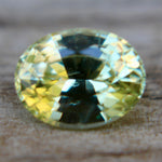 Natural Yellowish Green Sapphire Sapphire Pal Australia