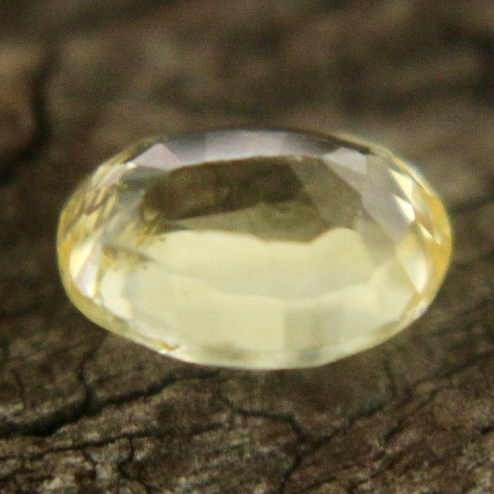 Natural Yellow Sapphire Sapphire Pal Australia