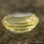 Natural Yellow Sapphire Sapphire Pal Australia