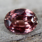 Natural Brown Sapphire Sapphire Pal Australia