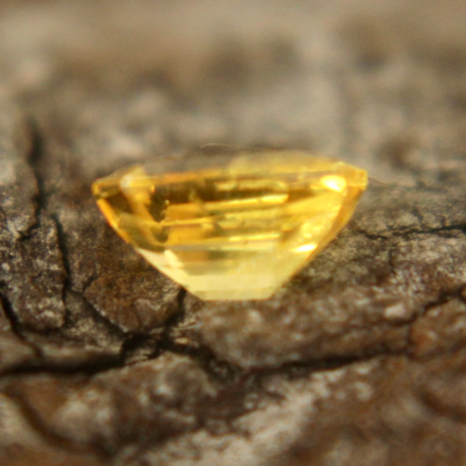 Natural Yellow Sapphire Sapphire Pal Australia