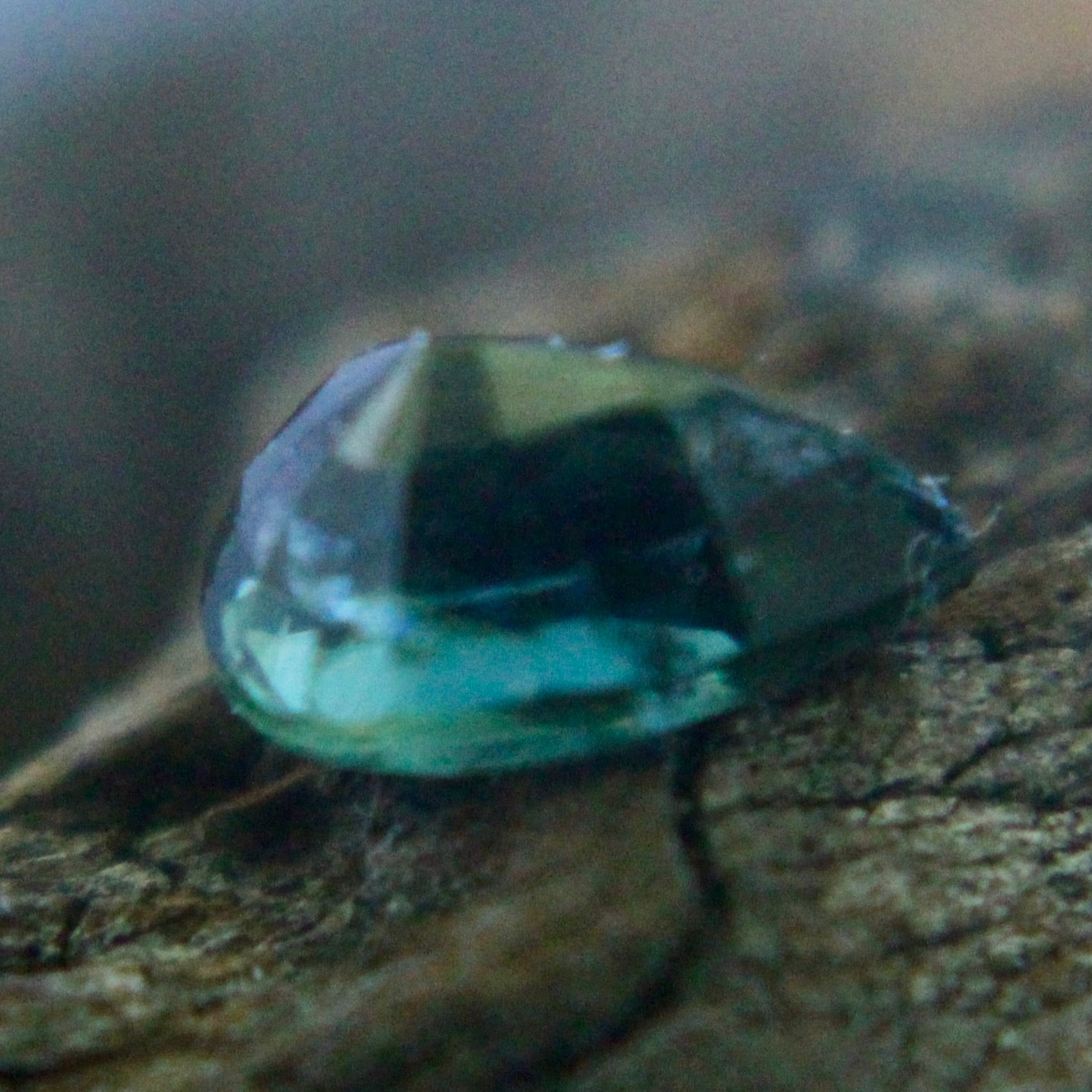 Natural Green Sapphire - Sapphirepal