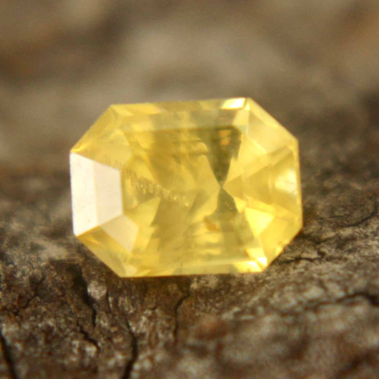 Natural Yellow Sapphire Sapphire Pal Australia