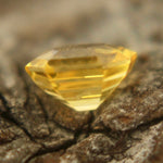 Natural Yellow Sapphire Sapphire Pal Australia