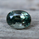 Natural Parti Sapphire Sapphire Pal Australia