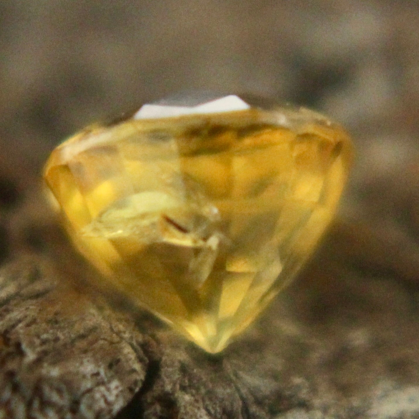 Natural Yellow Sapphire Sapphire Pal Australia