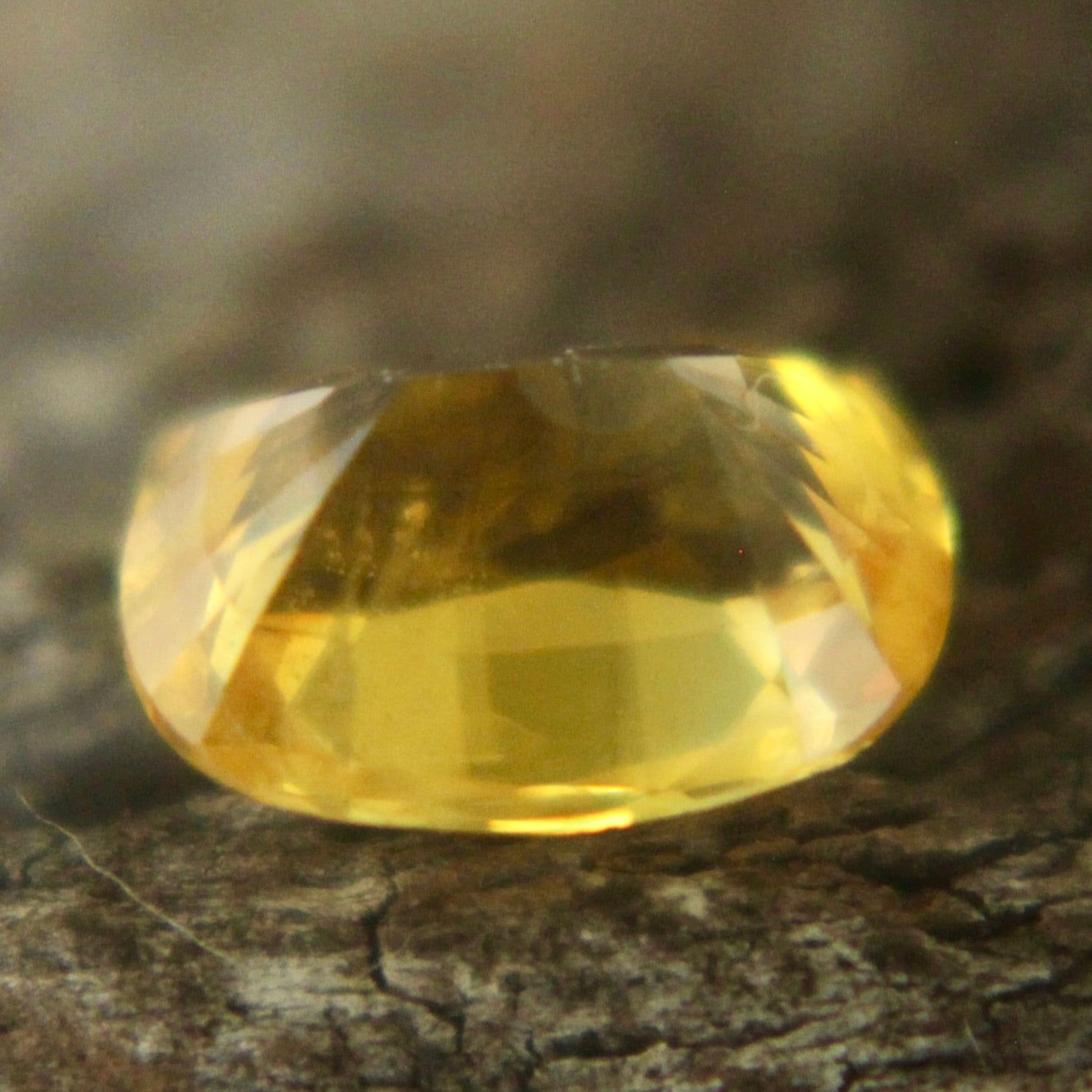 Natural Yellow Sapphire Sapphire Pal Australia