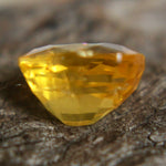 Natural Yellow Sapphire Sapphire Pal Australia