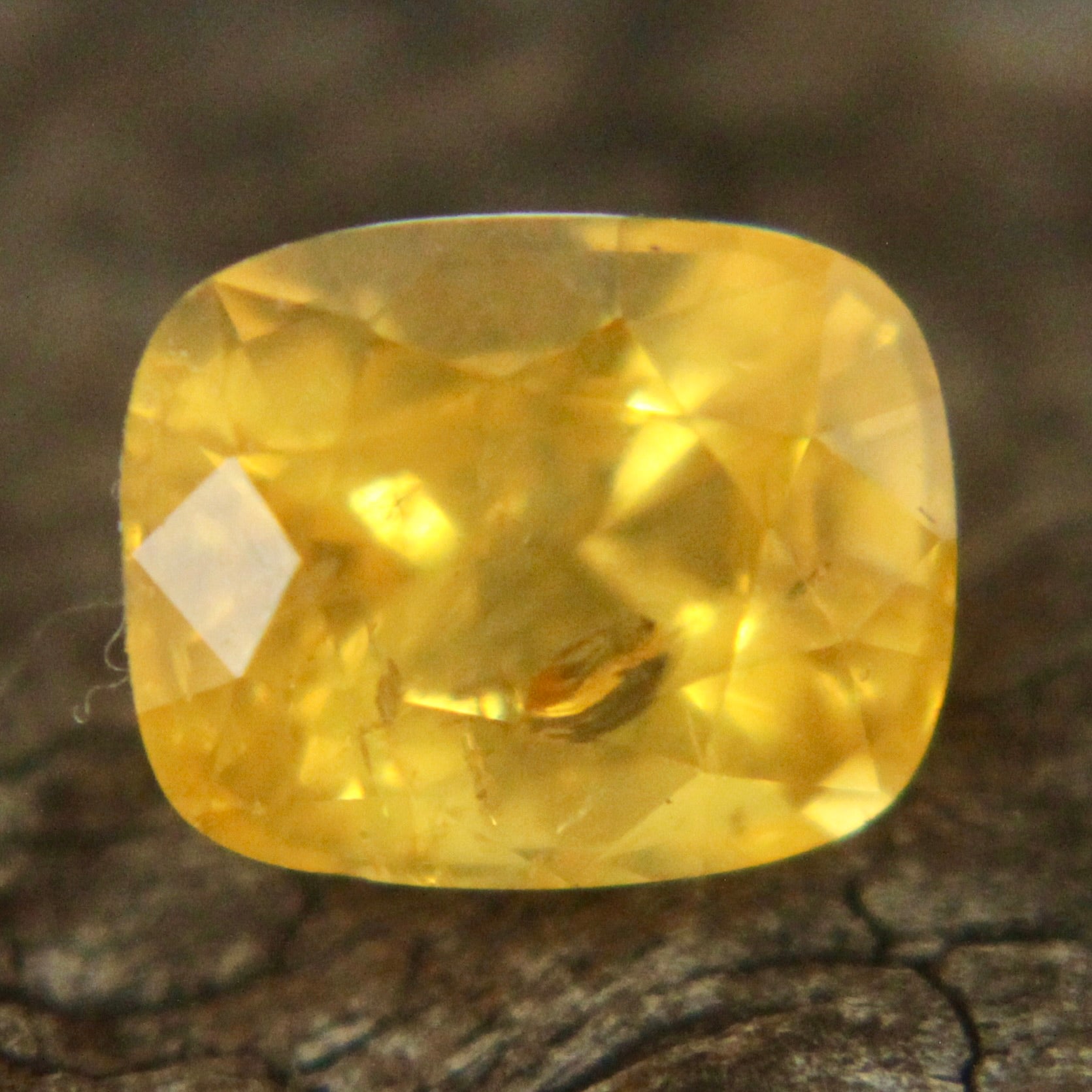 Natural Yellow Sapphire Sapphire Pal Australia