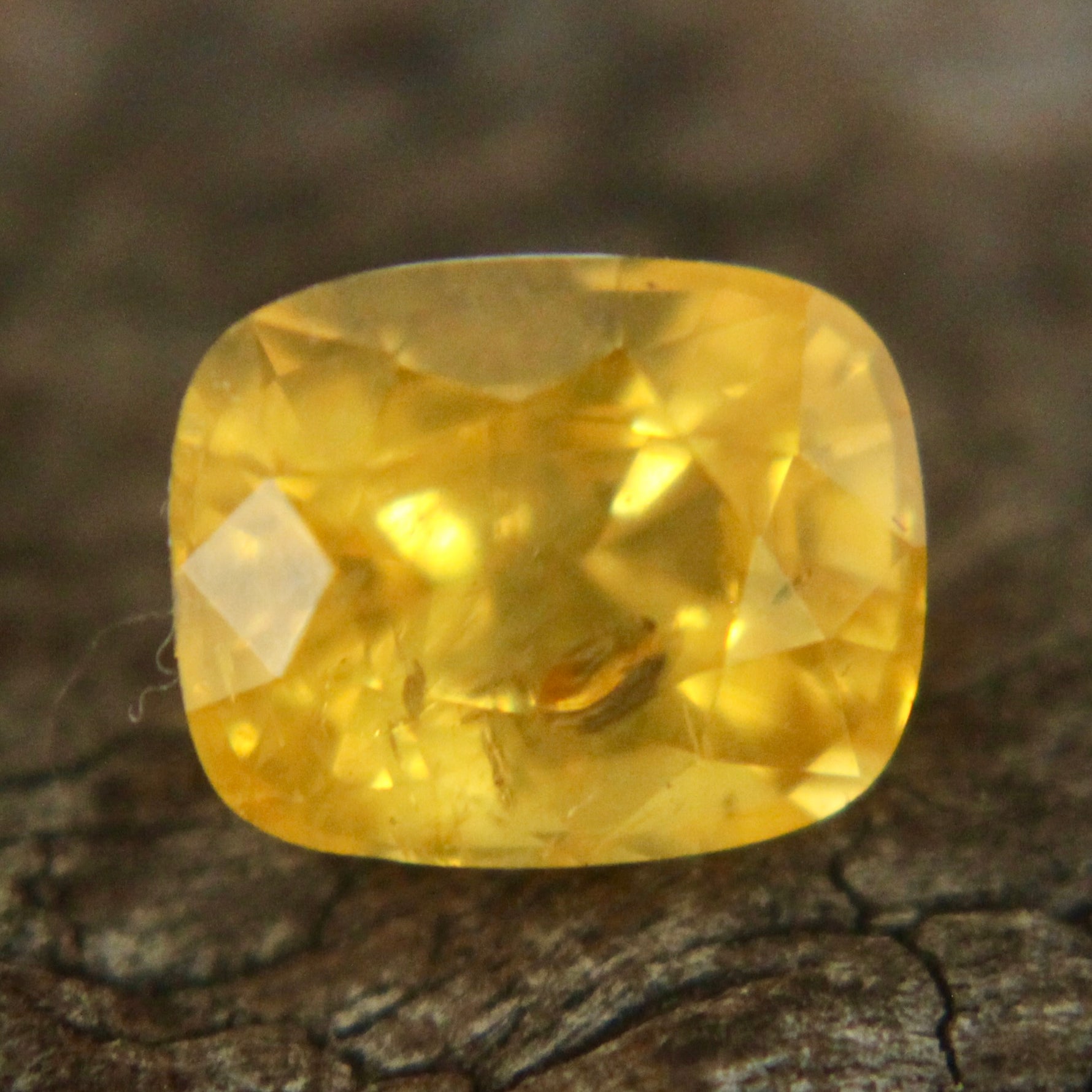 Natural Yellow Sapphire Sapphire Pal Australia