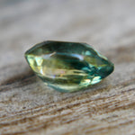 Natural Parti Sapphire Sapphire Pal Australia