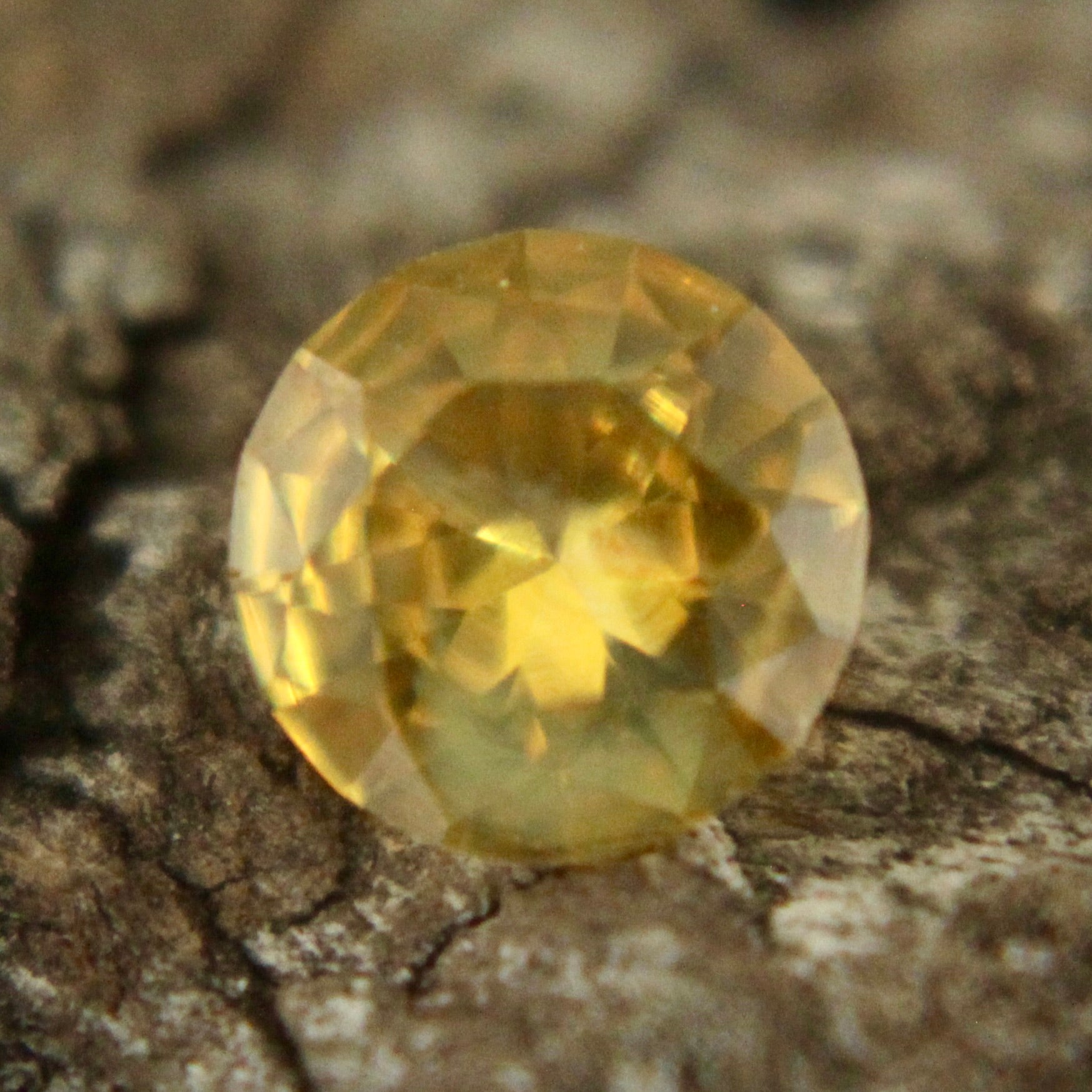 Natural Yellow Sapphire Sapphire Pal Australia