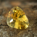 Natural Yellow Sapphire Sapphire Pal Australia