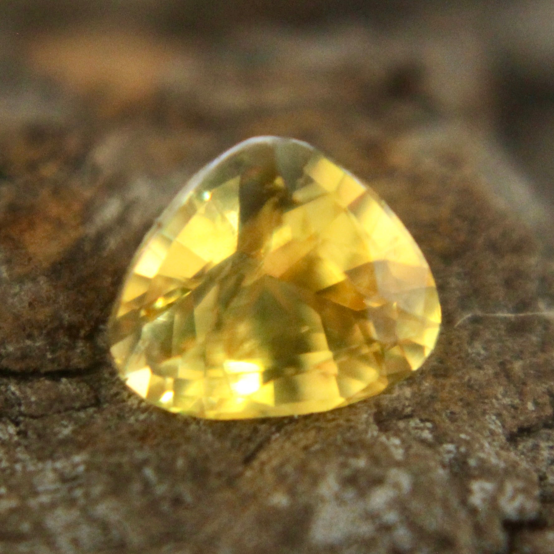 Natural Yellow Sapphire Sapphire Pal Australia