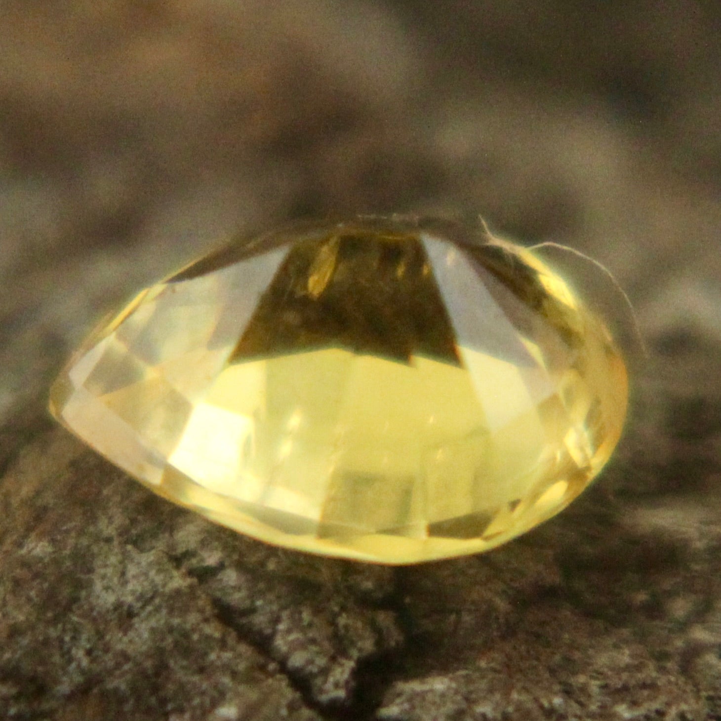 Natural Yellow Sapphire Sapphire Pal Australia