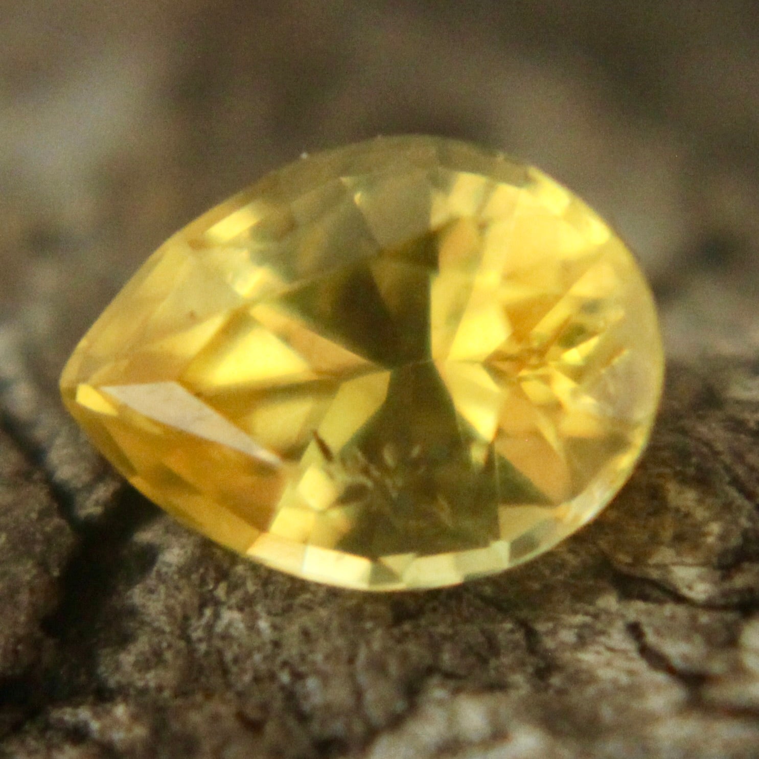 Natural Yellow Sapphire Sapphire Pal Australia