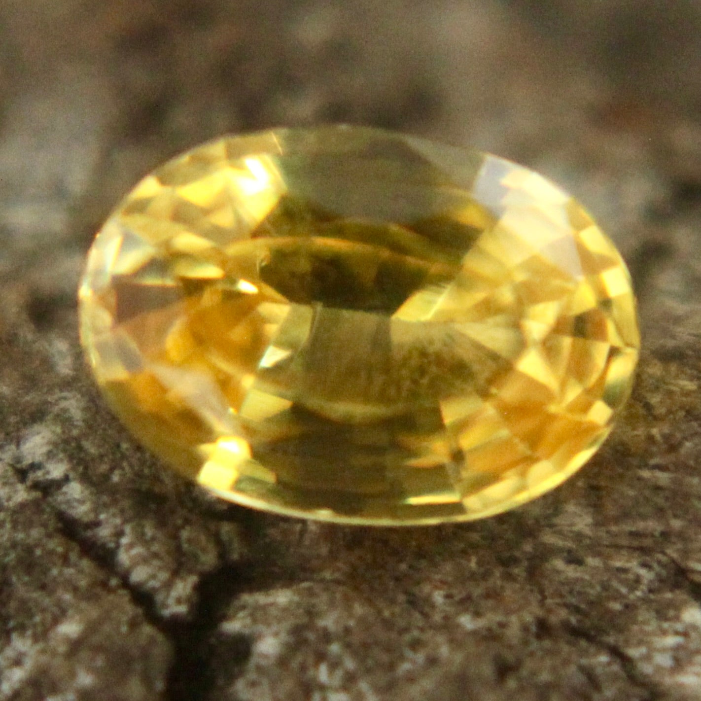 Natural Yellow Sapphire Sapphire Pal Australia