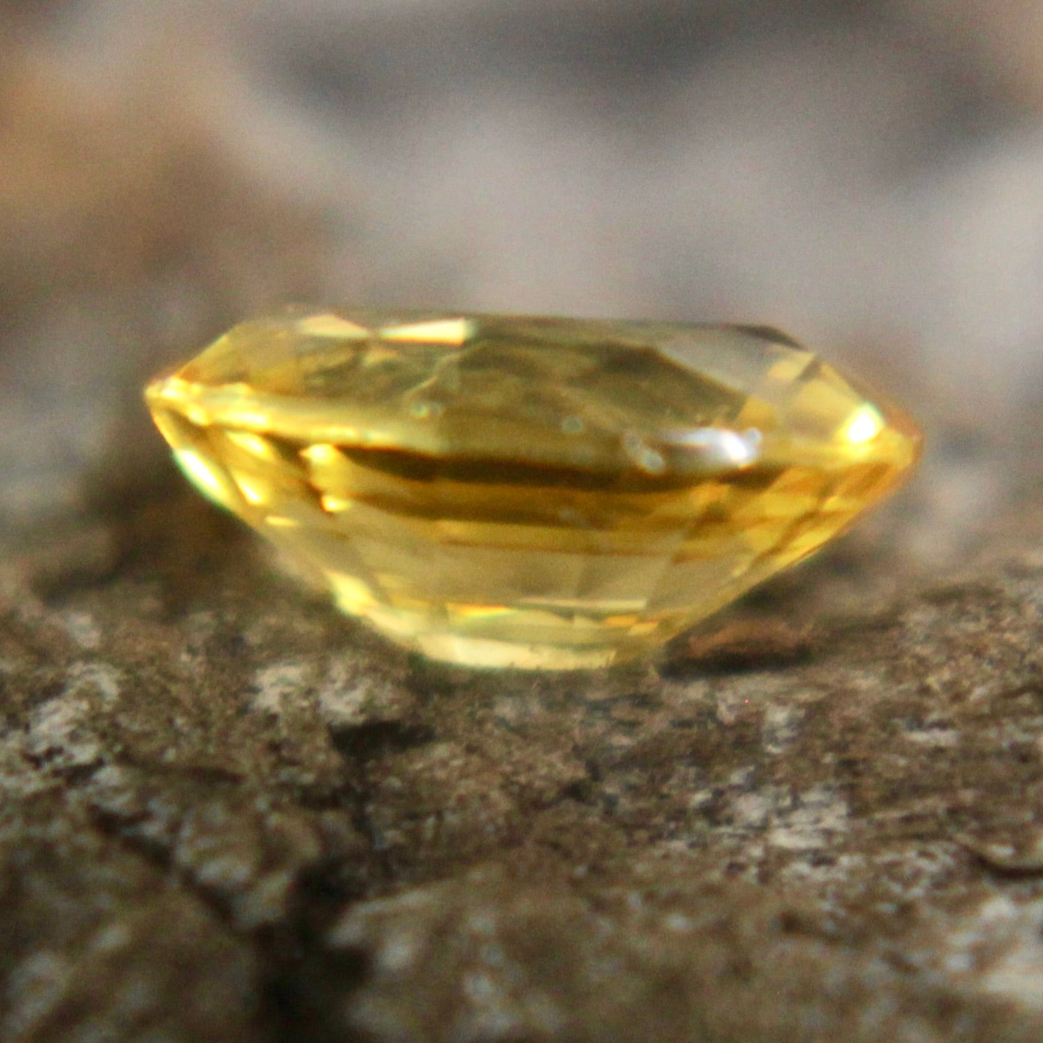 Natural Yellow Sapphire Sapphire Pal Australia