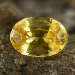 Natural Yellow Sapphire Sapphire Pal Australia