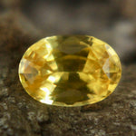 Natural Yellow Sapphire Sapphire Pal Australia