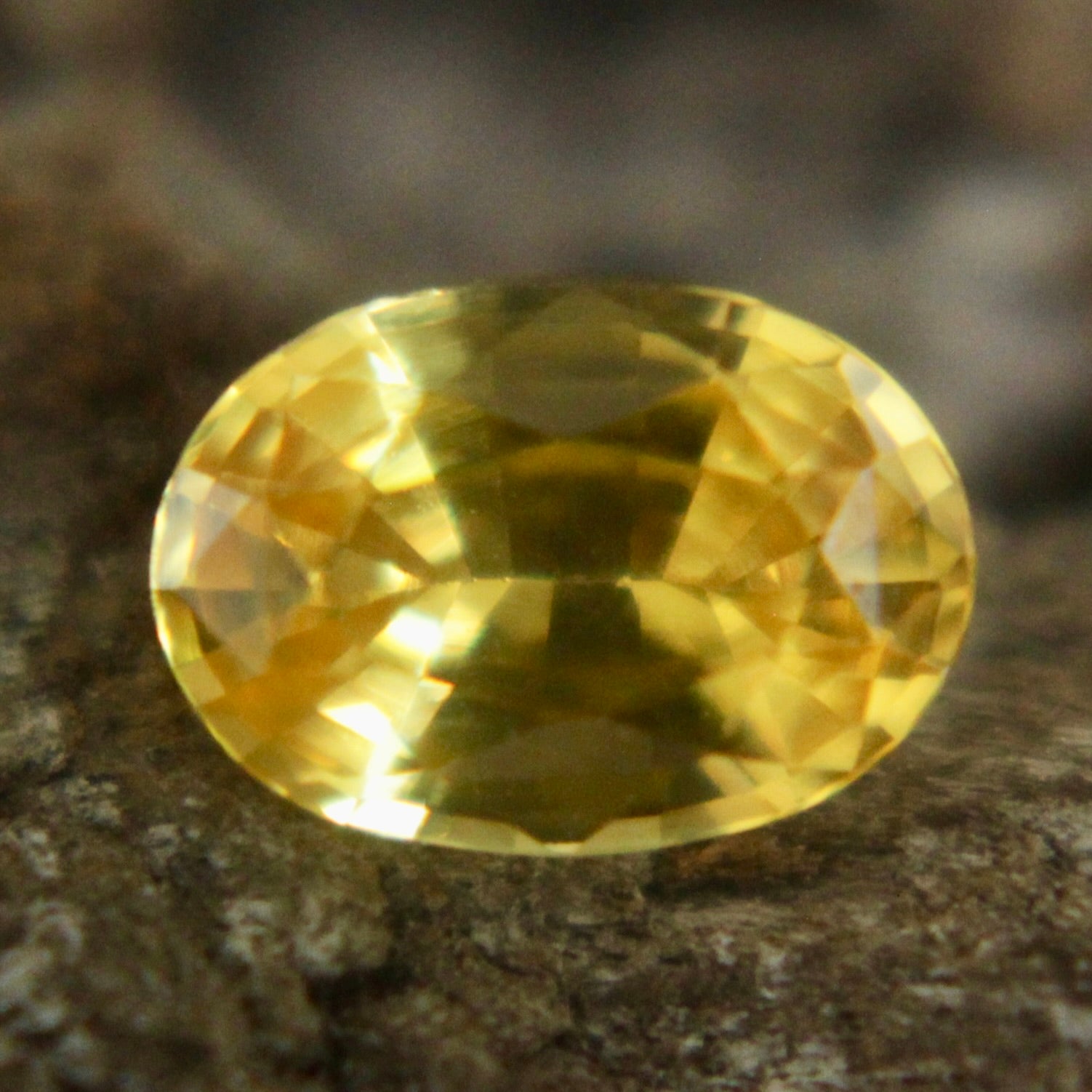 Natural Yellow Sapphire Sapphire Pal Australia