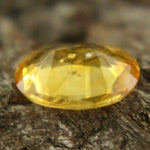 Natural Yellow Sapphire Sapphire Pal Australia